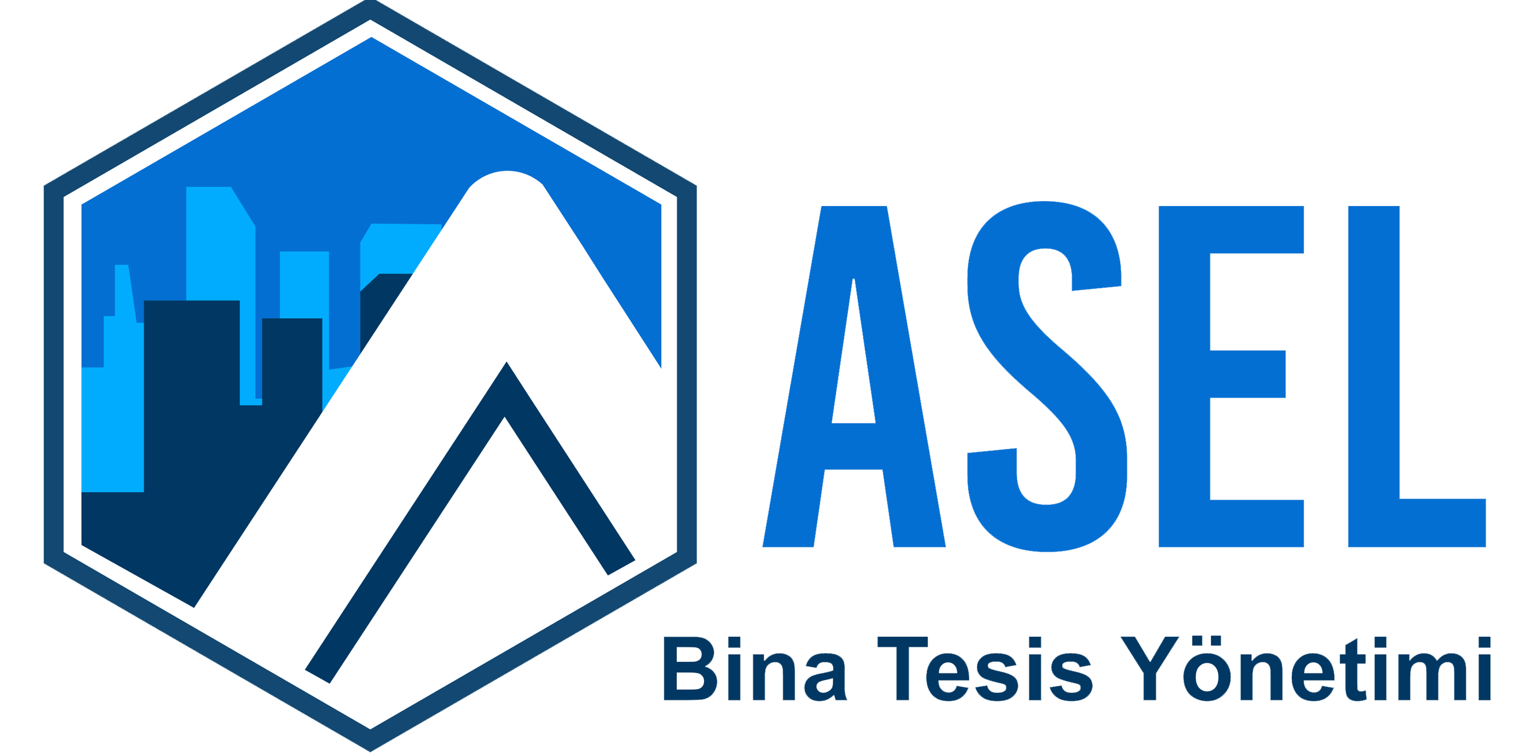 asel-yonetim-kayseri-bina-ve-tesis-yonetimi